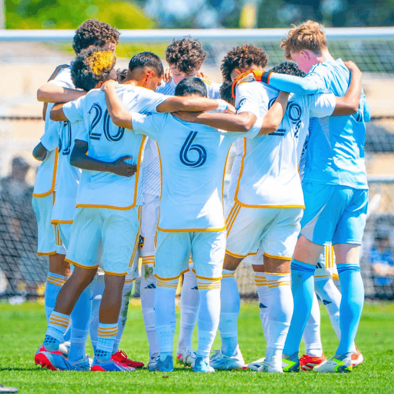 CollegeNovo Platform Dashboard