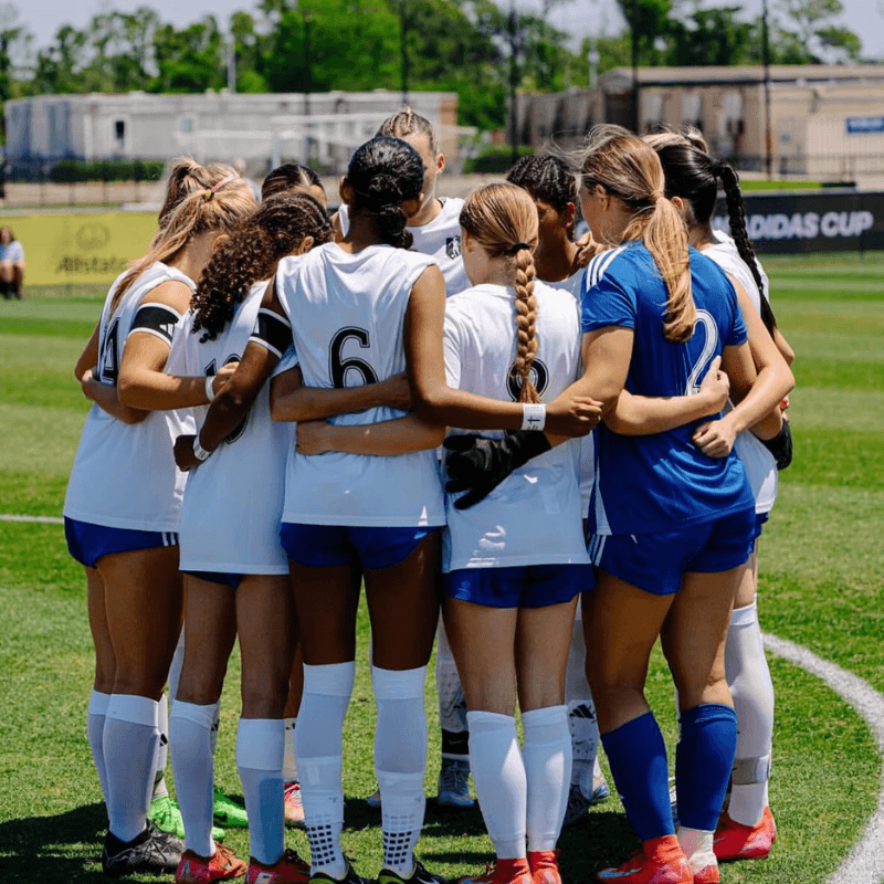 CollegeNovo Player Profile